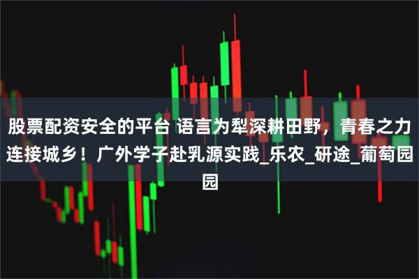 股票配资安全的平台 语言为犁深耕田野，青春之力连接城乡！广外学子赴乳源实践_乐农_研途_葡萄园